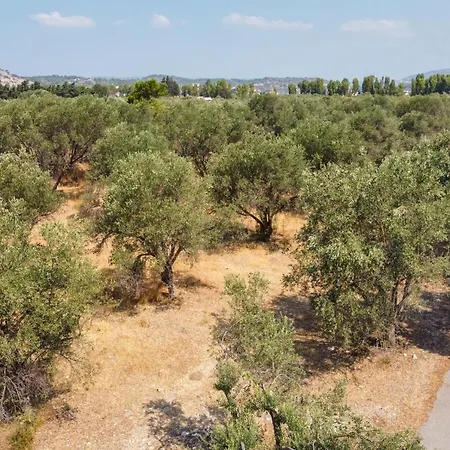 Rhodes Kolympia Private House 3 Min From The Beach 度假居 *
